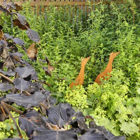 Familie Wetzlinger באד קליניקירשהיים