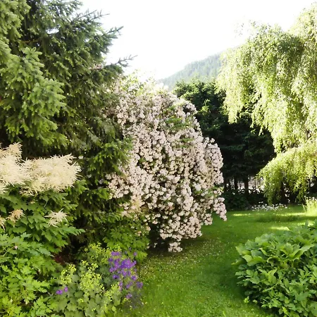 Familie Wetzlinger * באד קליניקירשהיים