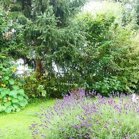 Familie Wetzlinger דירה