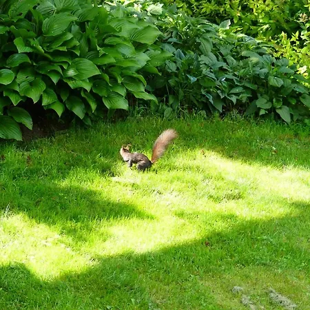 Familie Wetzlinger * באד קליניקירשהיים