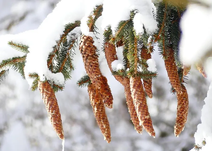 Familie Wetzlinger Bad Kleinkirchheim