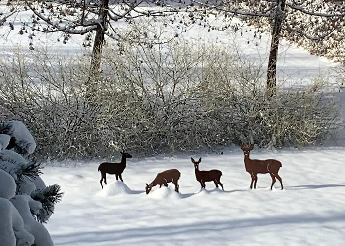 Familie Wetzlinger Apartment *