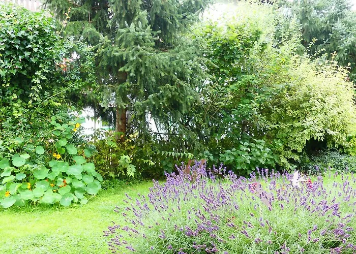 Familie Wetzlinger Apartment