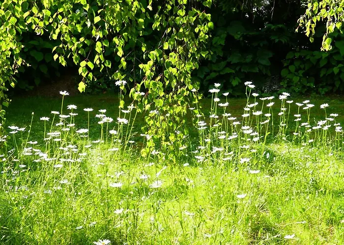 Familie Wetzlinger Apartment Bad Kleinkirchheim